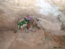 Font del Càntir - Thumbnail 4, Rellinars