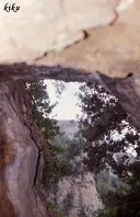 Cova del Llop - Miniatura 3, Avellanes i Santa Linya, Les