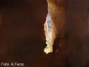 Cova de la Canal del Boc - Miniature 3, Matadepera