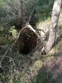 Avenc del Vidre - Miniatura 1, Begues