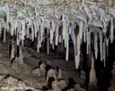 Forat del Cem - Miniatura 8, Pallejà