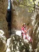 Avencs dels Tres Grans - Xesc - Miniatura 1, Vilaverd