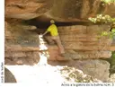 Balma Nº3 de la Font de les Coves - Miniatura 2, Lluçà