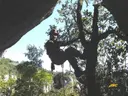 Cova dels Talps - Miniatura 2, Mura