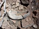 Forat de l'Esclop - Miniatura 12, Bellver de Cerdanya