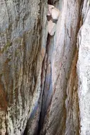 Esquerda de la Via Sense Nom - Miniatura 2, Vilaverd