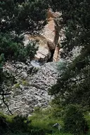 l'Església de les Cinglades - صورة مصغرة 1, Fígols