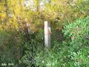 Avenc Nostre - Thumbnail 1, Cervelló