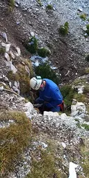 Grallera de la Comtessa - Miniatura 3, Odèn