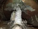 Cova del Frontal - Miniatura 10, Mura