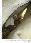 Cova de les Piquetes - Miniatura 2, Collsuspina