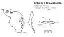 Avenc Nº6 de la Boixeda - Miniatur 1, Camprodon