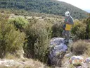 Cova-avenc del Padró - Miniatura 1, Àger