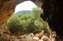 Coves del Mal Pas - Miniatura 5, Vandellòs i l'Hospitalet de l'Infant