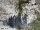 Balma dels Cingles de Barrina - صورة مصغرة 3, Mont-ral