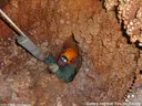 Forat de la Ruda - 缩略图 11, Sitges