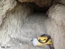 Forat de la Costa dels Moros - Miniatura 2, Oliola