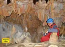 Cova de Can Vinardell - 缩略图 5, Montagut i Oix