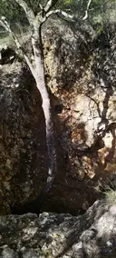 Cova del Morsell - صورة مصغرة 1, Begues
