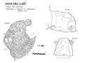 Cova del Lleó - Miniatura 1, Pallejà