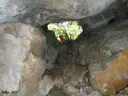 Avenc Musté Recasens - Miniatura 2, Mont-ral