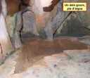 Bora Foradada - Miniatura 5, Montagut i Oix