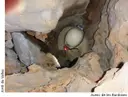 Avenc de les Bardisses - Miniatura 2, Begues