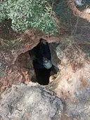 Avenc Elisabet - Miniatura 3, Olesa de Bonesvalls