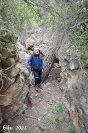 Avencó de Coll Verdeguer - Miniatura 1, Cervelló
