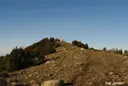 Graller de Gurp - Miniatura 4, Tremp