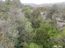 Avencots dels Motllats de la Pona - Miniatura 1, Febró, La