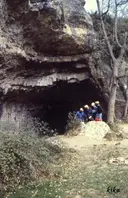 Cova del Toll - Miniatura 3, Moià