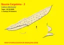 Baumes del Cargolaire - Miniatura 2, Calders