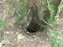 Avenc Musté Recasens - Miniatura 1, Mont-ral