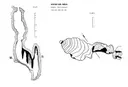 Avenc del Bruc - Miniatura 5, Begues