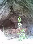 Cova del Duc - Thumbnail 2, Mura