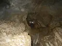 Baumes del Borrasser - Thumbnail 10, Molló