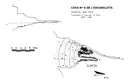 Cova Nº6 de l'Escudelleta - Miniatura 2, Capafonts