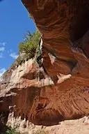 Cova Nº2 del Titi - Thumbnail 3, Cornudella de Montsant