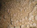 Avenc del Torrent de Santa Cristina - Thumbnail 4, Bisbal del Penedès, La