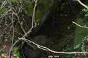 Forat de Santa Anna - Miniatura 2, Susqueda