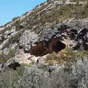 Coves d'Antona - Miniatura 8, Artesa de Segre