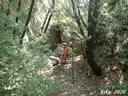 Esquerdes de l'Isaac - Miniatura 3, Vilanova de Meià