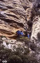 Forat de la Grallera - Miniatura 4, Vilanova de Meià