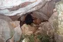 Cova del Caos - Miniatura 2, Alfara de Carles