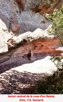 Cova d'en Baleta - Миниатюра 3, Arbolí