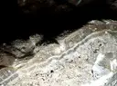 Cova de Muxí - Thumbnail 6, Sort