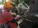 Avenc del Penya-segat de la Falconera - Thumbnail 3, Sitges