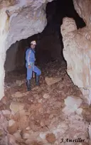Grallera de Picon Bernat - Miniatura 3, Sant Esteve de la Sarga