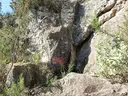 Avenc Blanc - Miniatura 1, Pallejà